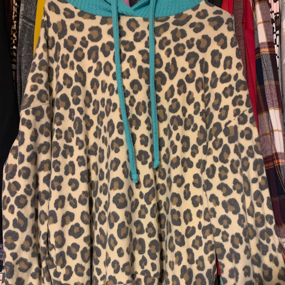 Cheetah and Mint sweater